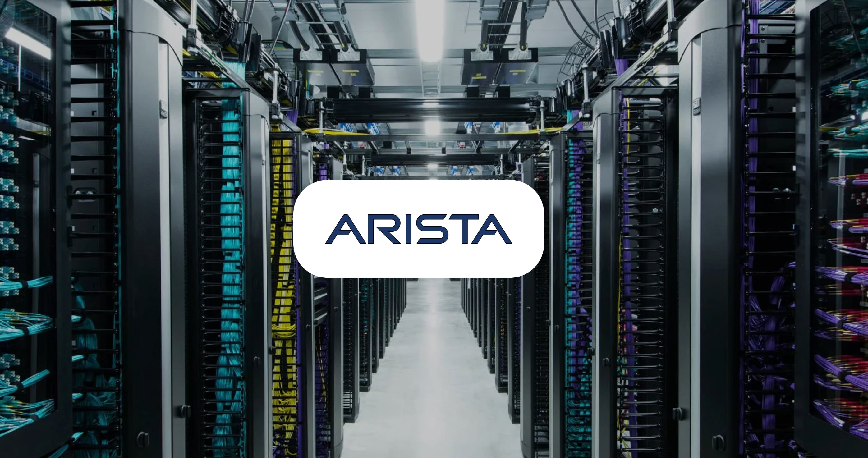 What Factors Make Arista Networks Stock Attractive Now?